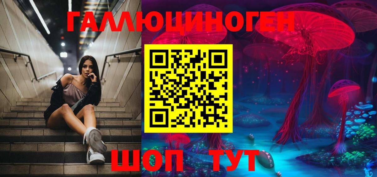 Галлюциногенные грибы Cubensis  сколько стоит  Ртищево  Вход с VPN 